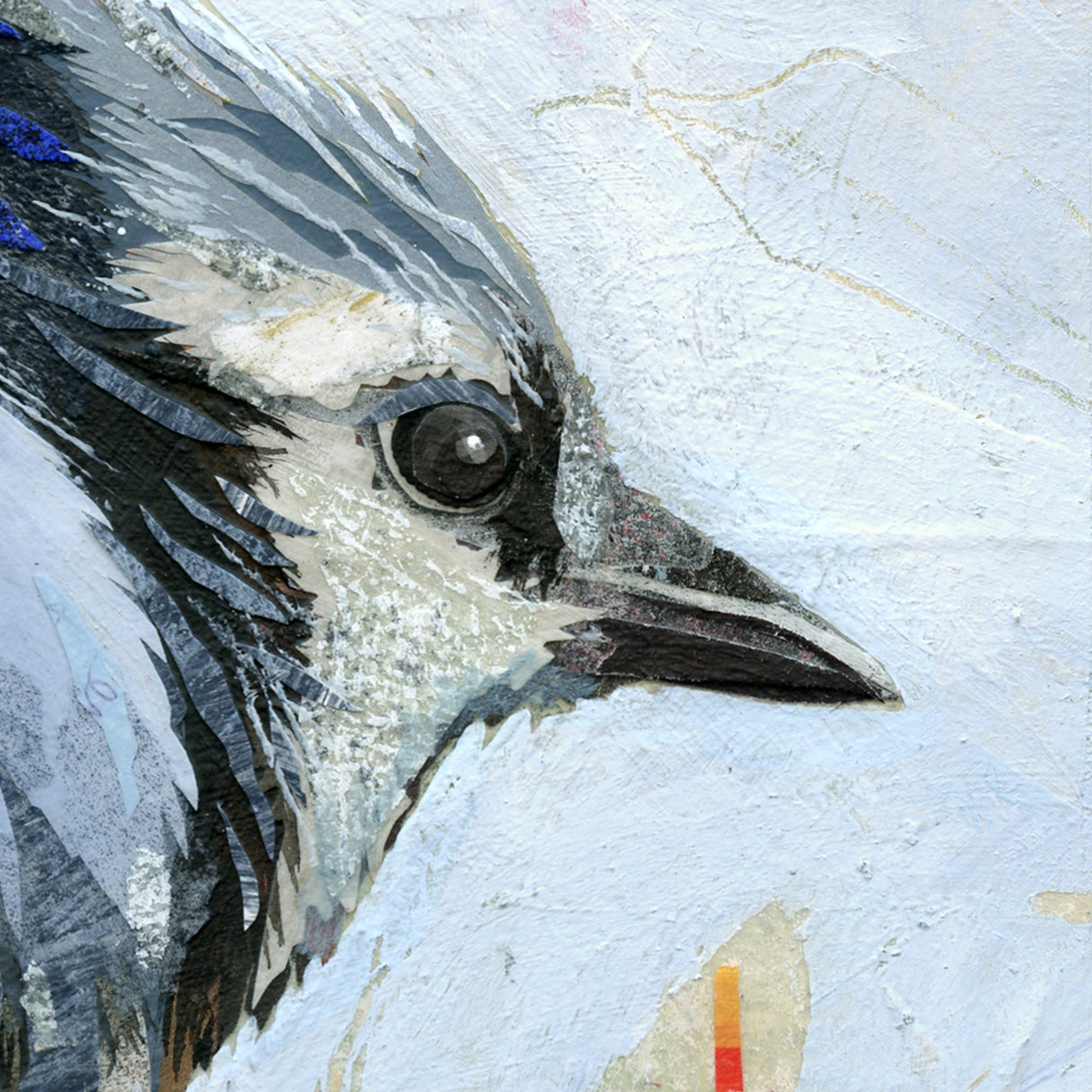 Jay Watcher