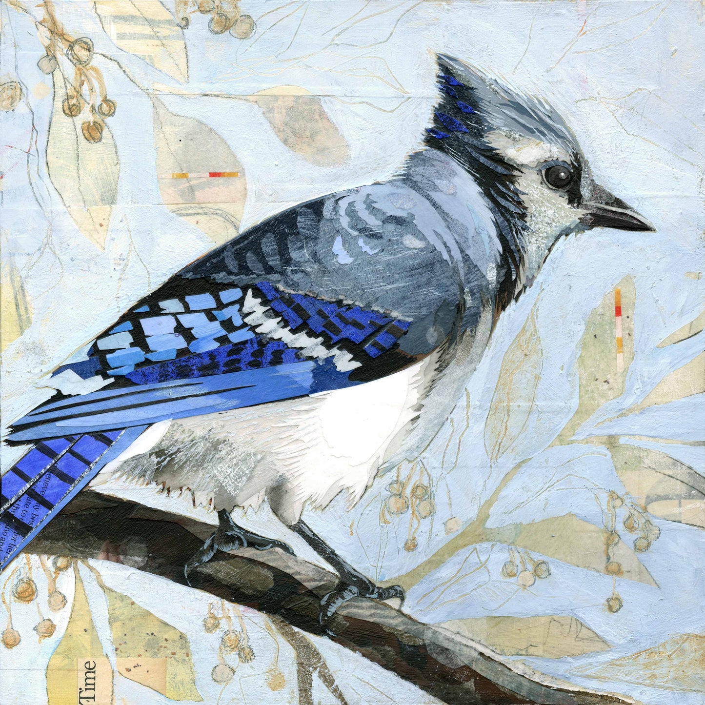 Jay Watcher