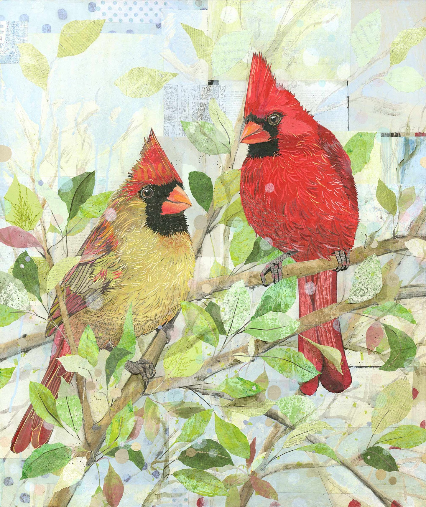 Cardinal Couple