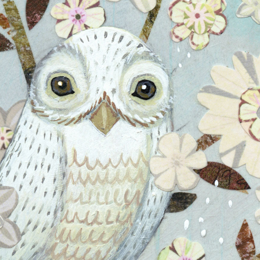 Snowy Owl