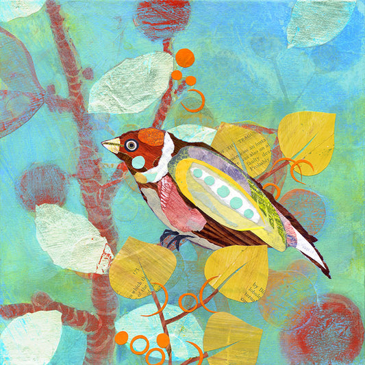 Bird Watcher