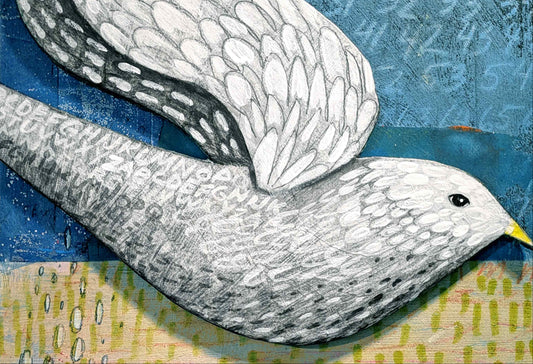 Deciphering Dove