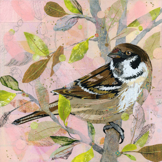 Sparrow's Spot