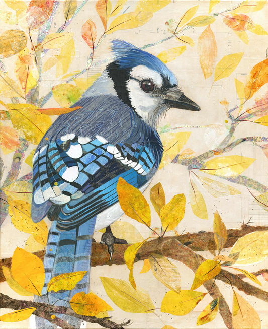 Blue Jay in Fall