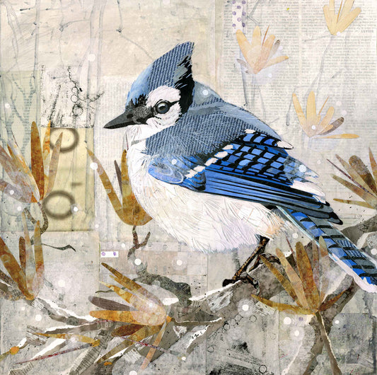 Double-O Jay