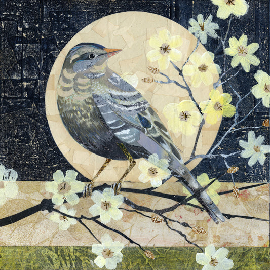 New Moon Perch