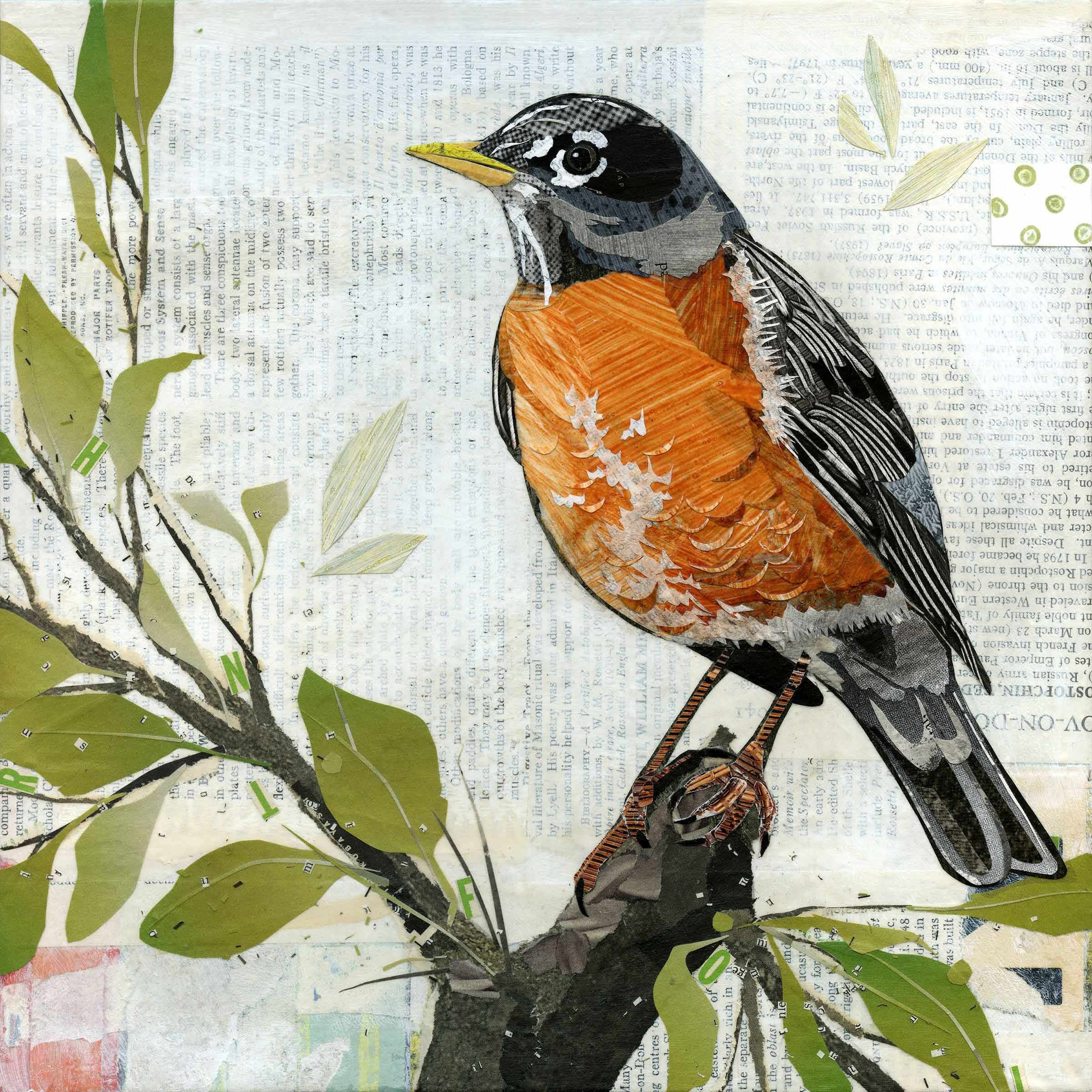 Robin Letters – Judy Verhoeven Art