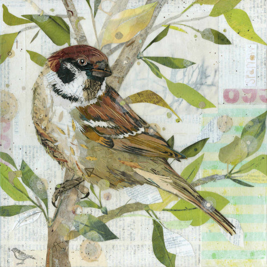 Sparrow for Peggy